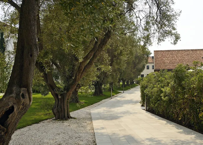 Jw 메리어트 리조트&스파 베니스